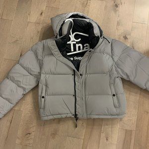 Aritzia Iridescent Superpuff Shorty